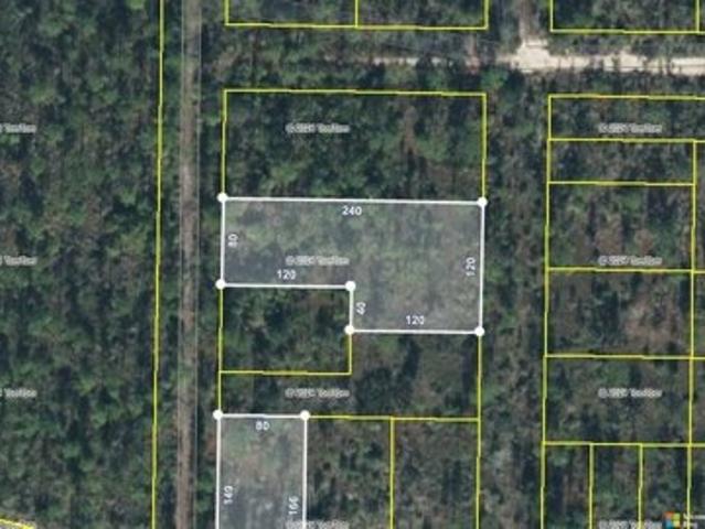 Land for sale in Altha
