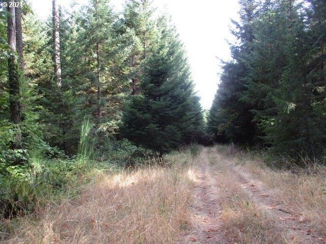 Land for sale in Yamhill, Yamhill County