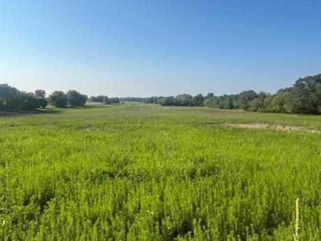 Land for sale in Berlin, Wisconsin
