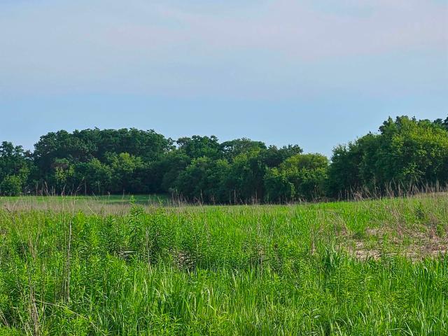 Land for sale in Berlin, Wisconsin