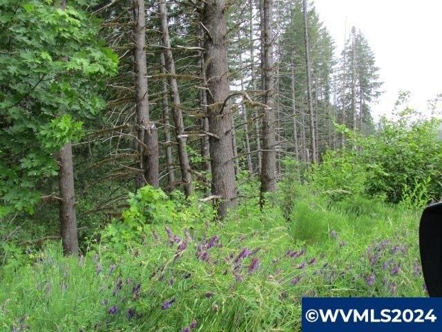 Land for sale in Yamhill, Yamhill County