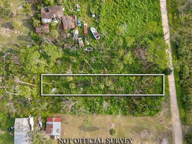 Land for sale in Steinhatchee, Florida