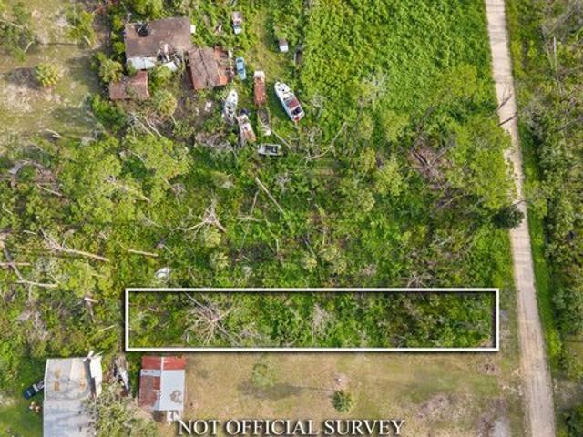 Land for sale in Steinhatchee, Florida