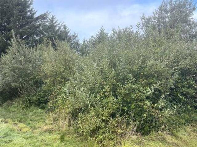Land for sale in Ocean Shores