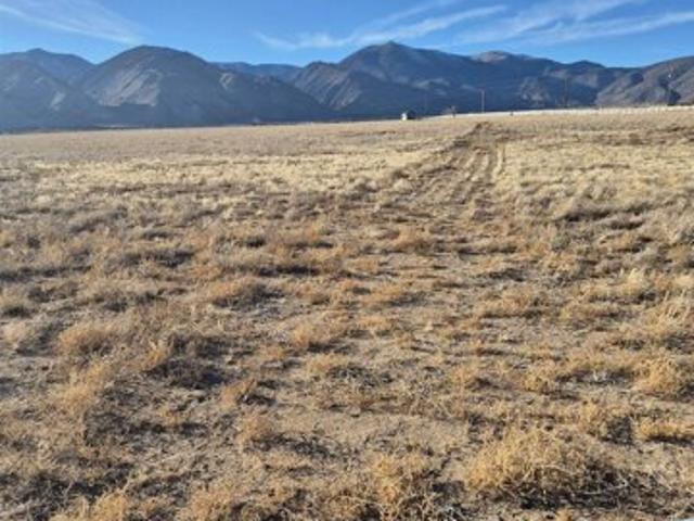 Land for sale in Wellington