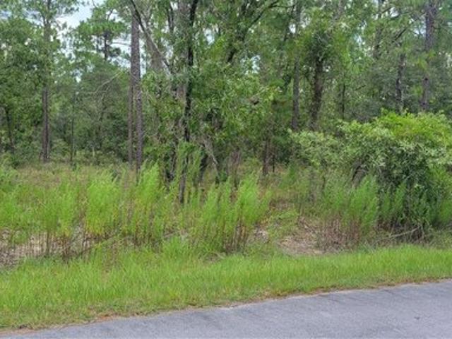 Land for sale in Dunnellon, Florida