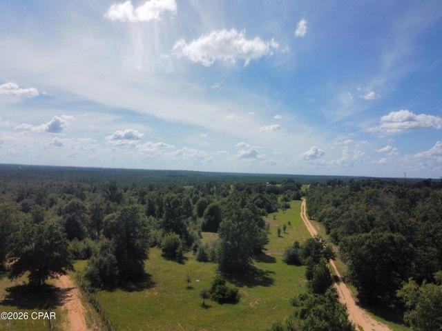 Land for sale in Altha, Calhoun County