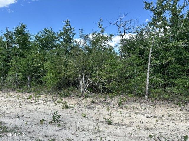 Land for sale in Altha