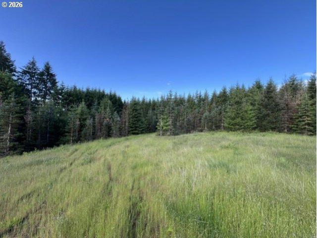Land for sale in Oregonia