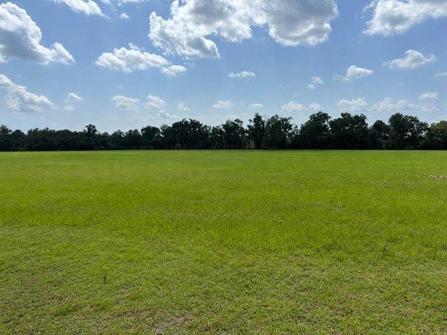 Land for sale in Madison, Florida