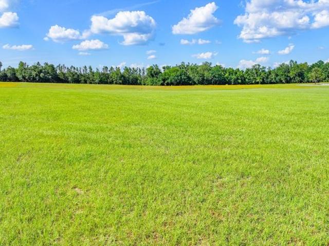 Land for sale in Madison, Florida
