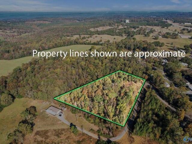 Land for sale in Arab, Alabama
