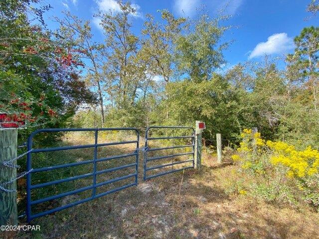 Land for sale in Altha
