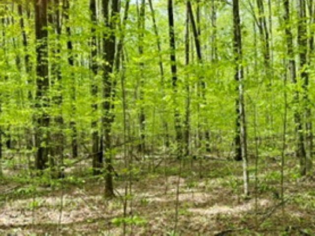 Land for sale in Michigan