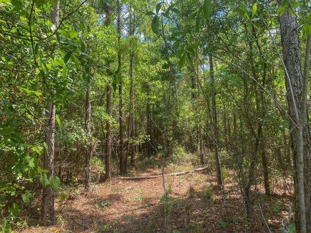 Land for sale in Bell