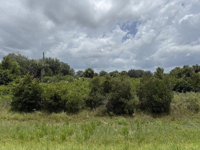Land for sale in Okeechobee Land for sale in Okeechobee