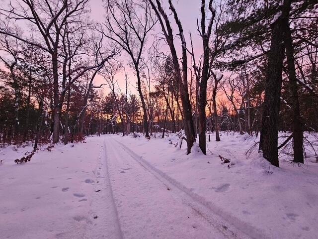 Land for sale in Hesperia, Michigan