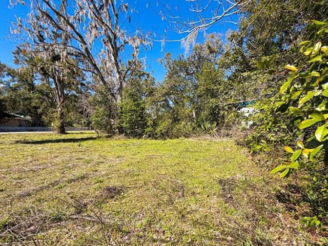 Land for sale in Mayo, Florida