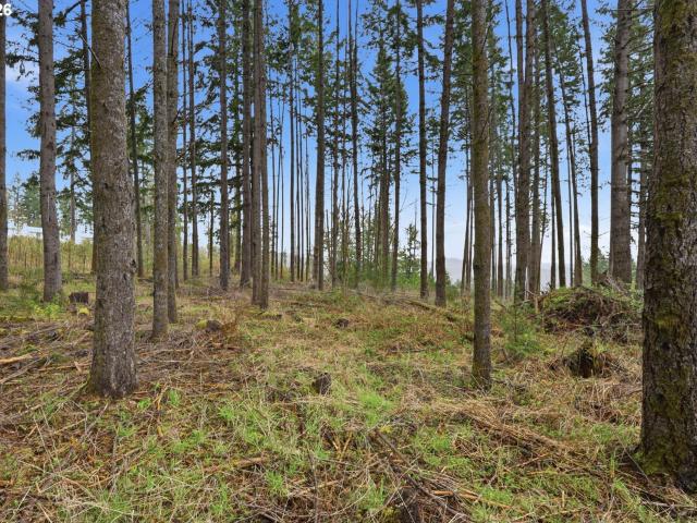 Land for sale in Oregonia