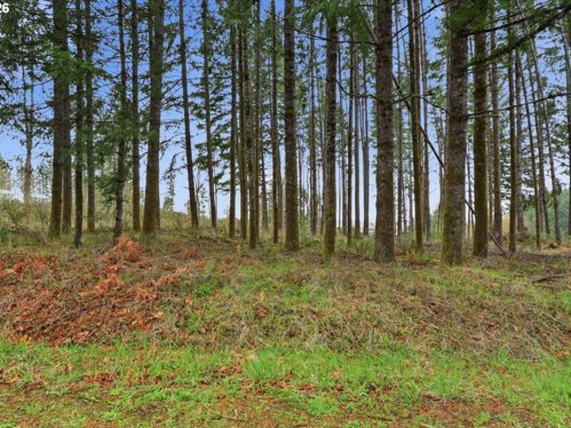 Land for sale in Oregonia