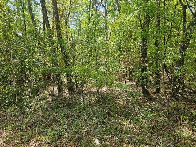 Land for sale in Bell