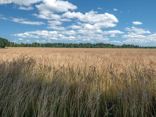 Land for sale in Oregonia