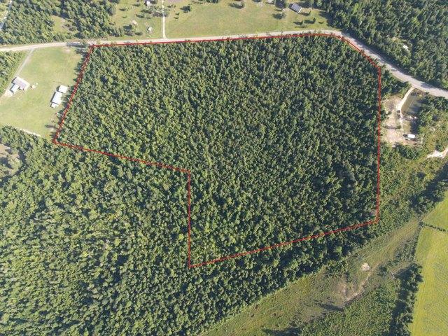 Land for sale in Altha, Florida