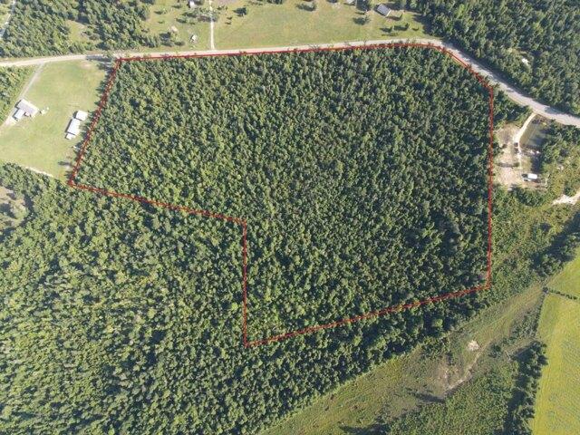 Land for sale in Altha