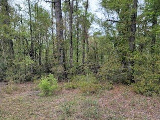 Land for sale in Jennings, Florida