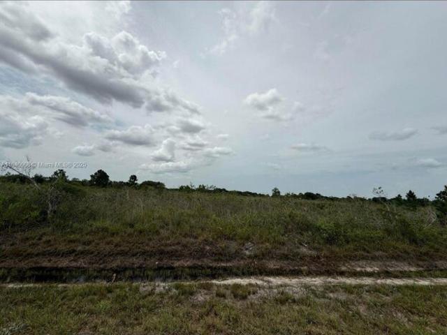 Land for sale in Okeechobee Land for sale in Okeechobee