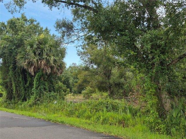 Land for sale in Okeechobee Land for sale in Okeechobee