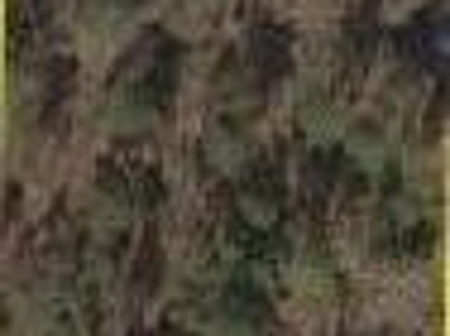 Land for sale in Okeechobee Land for sale in Okeechobee