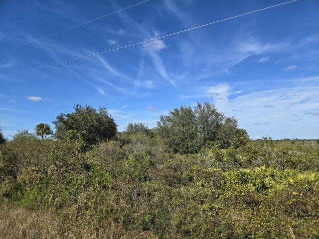 Land for sale in Okeechobee Land for sale in Okeechobee