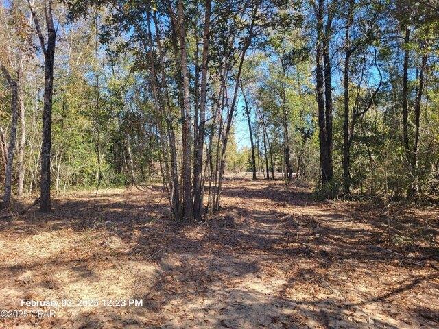 Land for sale in Altha Land for sale in Altha