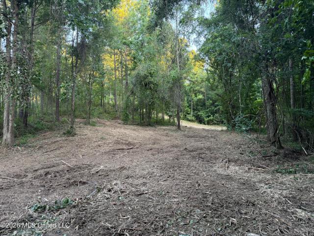 Land for sale in Bogue Chitto, Mississippi