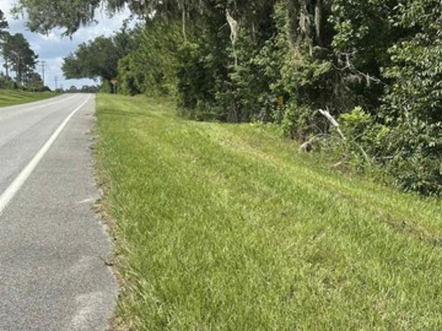 Land for sale in Greenville, Florida