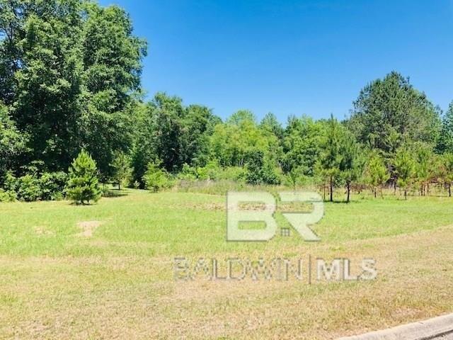 Land for sale in Brewton, Alabama
