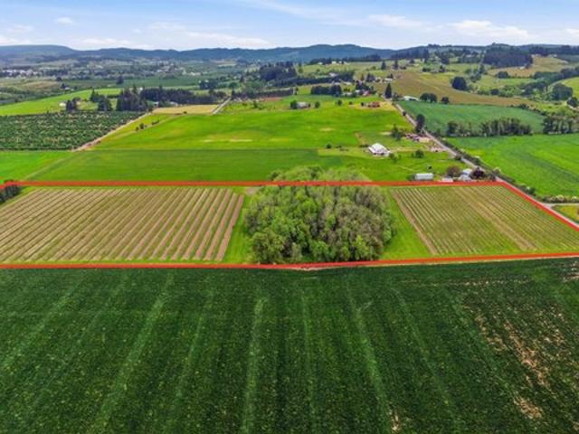 Land for sale in Carlton, Yamhill County