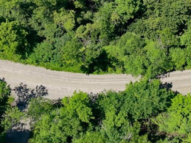 Land for sale in Williston, Vermont