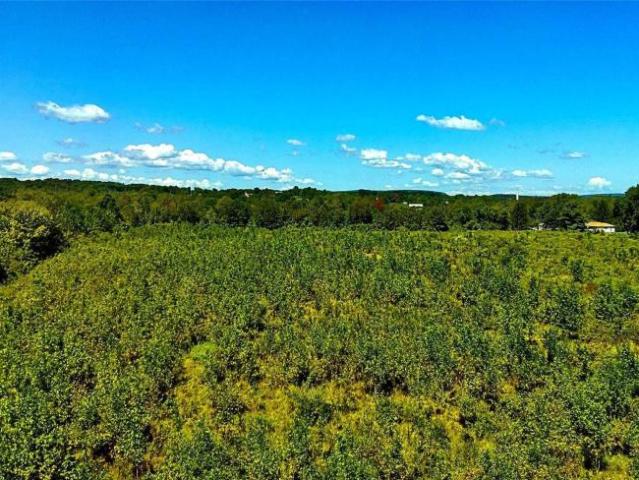 Land for sale in Athens, New York