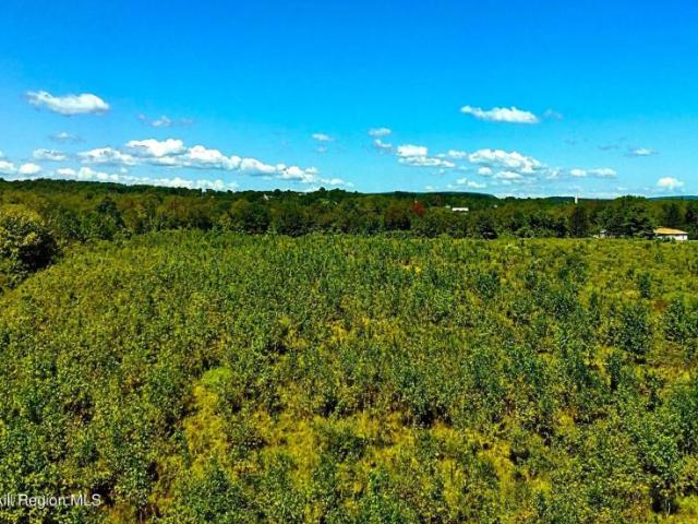 Land for sale in Athens, New York