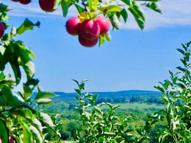 Land for sale in Red Hook, New York