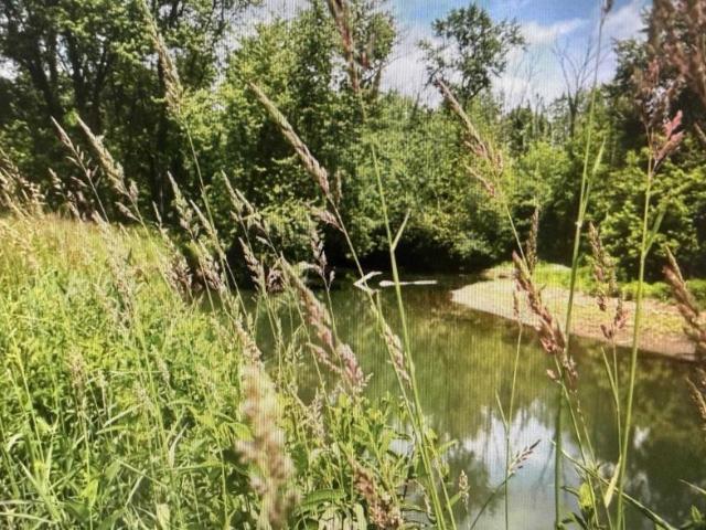 Land for sale in New York