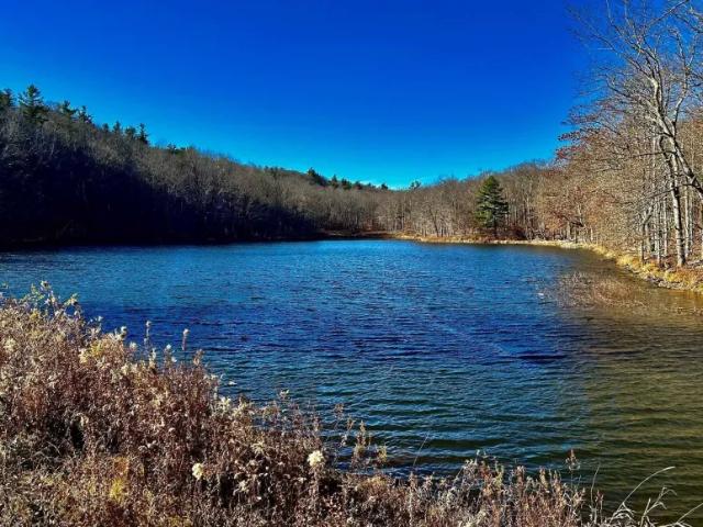 Land for sale in Austerlitz, New York