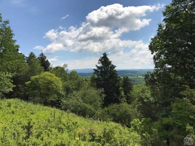 Land for sale in New York