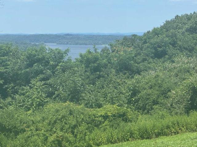 Land for sale in New York