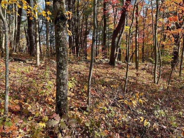 Land for sale in New York
