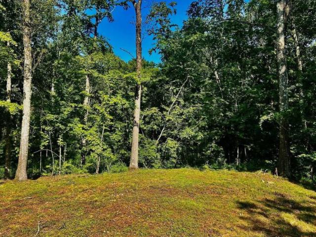Land for sale in New York