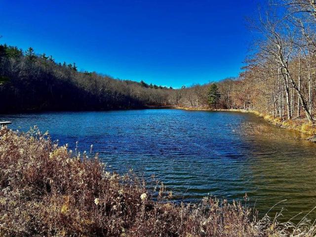 Land for sale in New York