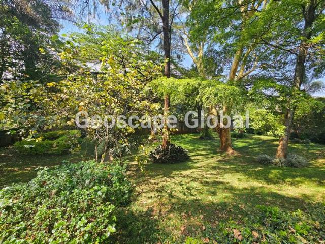 House for rent in Nyari, Westlands